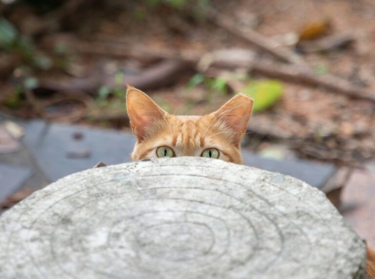 How Introverts Can Navigate Events